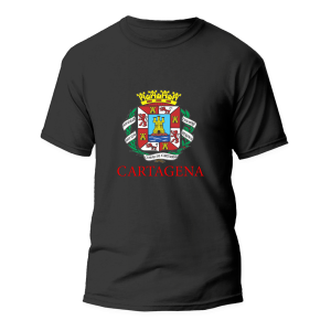 Camiseta de recuerdo